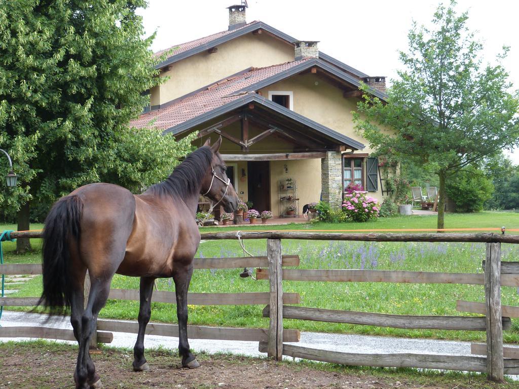 B&B Notte Stellata Gaiola エクステリア 写真